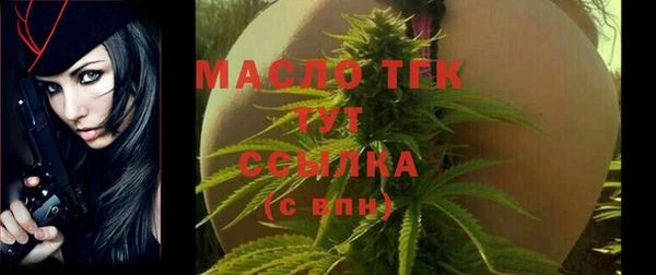 индика Бронницы