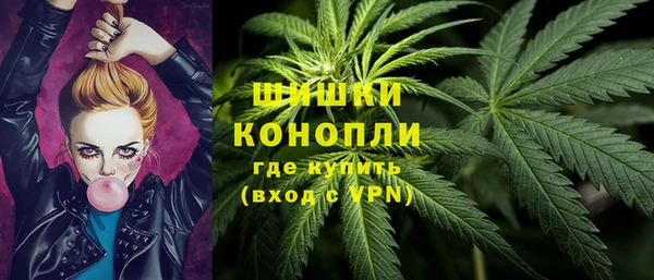 индика Покровск