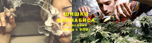 соль ск Пролетарск