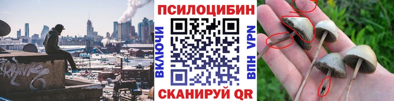 Псилоцибиновые грибы мицелий  Ставрополь 
