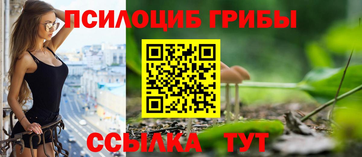 Ставрополь  где продают наркотики  Вход с VPN  Галлюциногенные грибы GOLDEN TEACHER 